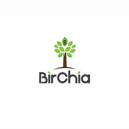 BIRCHIA B logo
