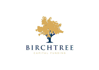BIRCHTREE CAPITAL FUNDING logo