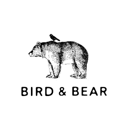 BIRD & BEAR logo