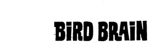 BIRD BRAIN logo