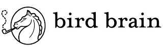 BIRD BRAIN logo