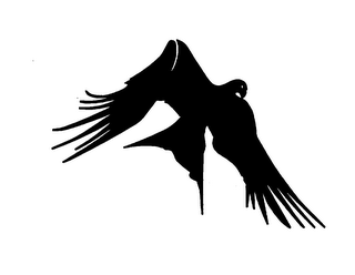 BIRD DESIGN logo