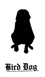 BIRD DOG logo