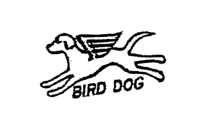 BIRD DOG logo