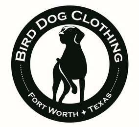 BIRD DOG CLOTHING FORT WORTH - TEXAS logo