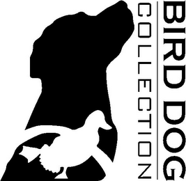 BIRD DOG COLLECTION logo
