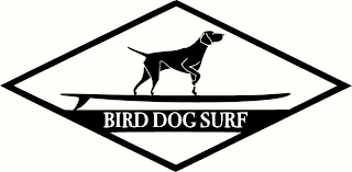BIRD DOG SURF logo