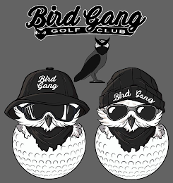 BIRD GANG GOLF CLUB BIRD GANG BIRD GANG logo