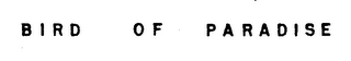 BIRD OF PARADISE logo