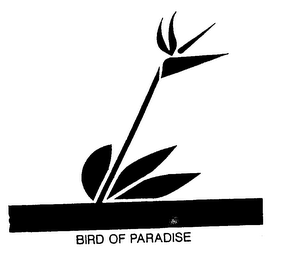 BIRD OF PARADISE logo