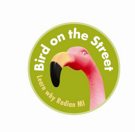BIRD ON THE STREET LEARN WHY RADIAN MI logo