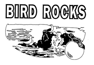 BIRD ROCKS logo