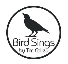 BIRD SINGS BY TIM COLLEY logo