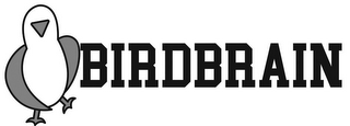 BIRDBRAIN logo