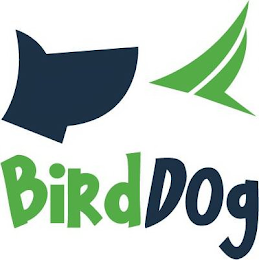 BIRDDOG logo