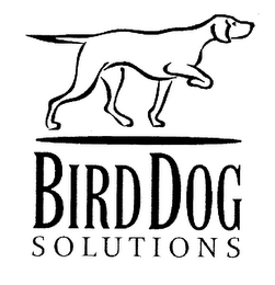BIRDDOG SOLUTIONS logo