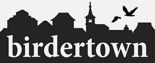 BIRDERTOWN logo