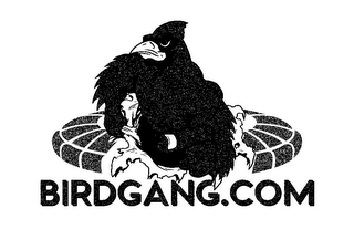 BIRDGANG.COM logo