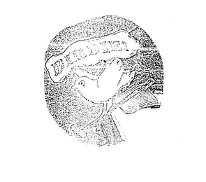 BIRDIE? logo