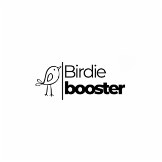 BIRDIE BOOSTER logo