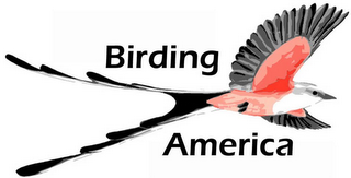 BIRDING AMERICA logo