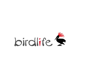 BIRDLIFE logo