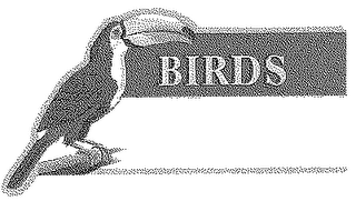 BIRDS logo