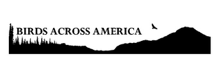 BIRDS ACROSS AMERICA logo
