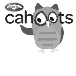 BIRDS EYE. CAHOOTS logo