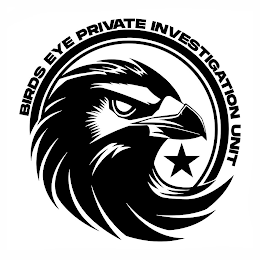 BIRDS EYE PRIVATE INVESTIGATION UNIT logo