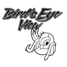 BIRD'S EYE VIEW logo