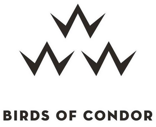 BIRDS OF CONDOR logo