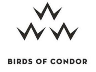 BIRDS OF CONDOR logo