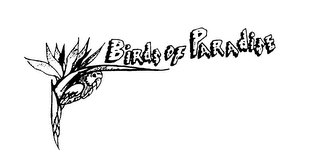 BIRDS OF PARADISE logo