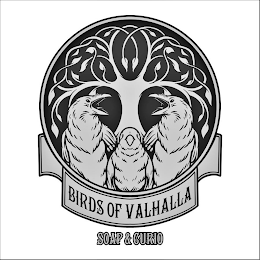 BIRDS OF VALHALLA SOAP & CURIO logo
