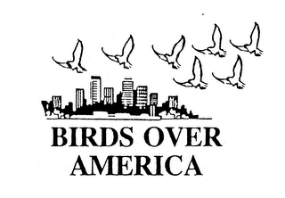 BIRDS OVER AMERICA logo
