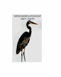 BIRDS WORDS PODCAST GRIT + FAITH logo