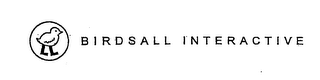 BIRDSALL INTERACTIVE logo