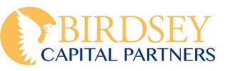 BIRDSEY CAPITAL PARTNERS logo