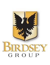 BIRDSEY GROUP logo