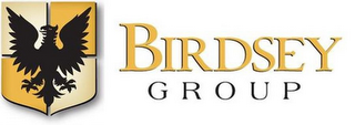 BIRDSEY GROUP logo