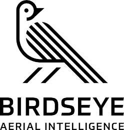 BIRDSEYE AERIAL INTELLIGENCE logo