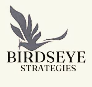 BIRDSEYE STRATEGIES logo
