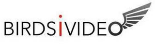 BIRDSIVIDEO logo