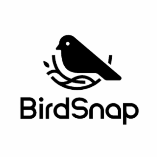 BIRDSNAP