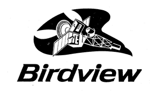 BIRDVIEW logo