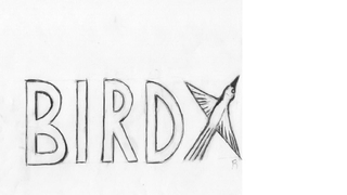 BIRDX logo