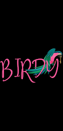 BIRDY1 logo