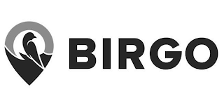 BIRGO logo