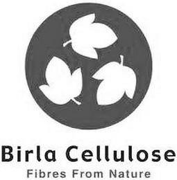 BIRLA CELLULOSE FIBRES FROM NATURE logo